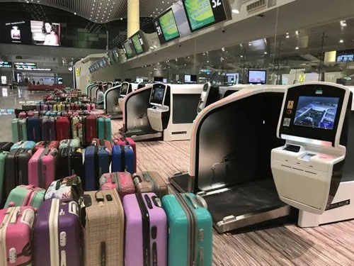 海港行李托运